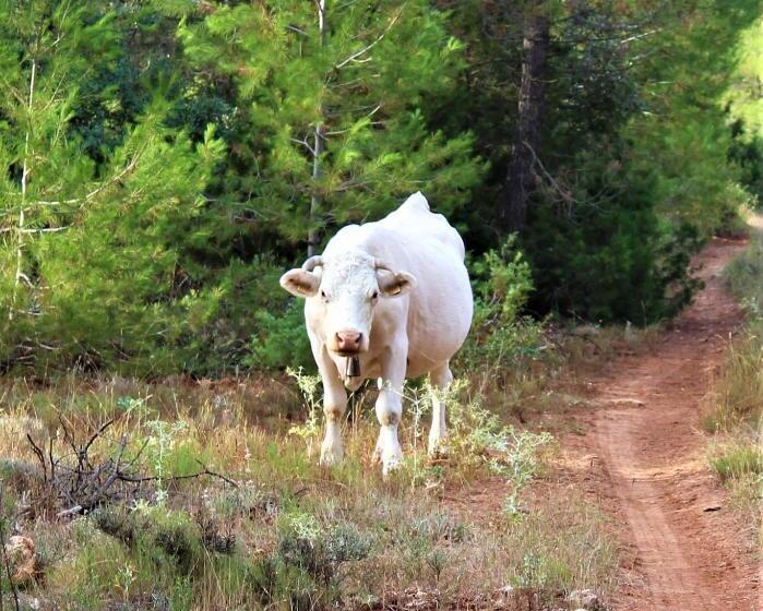 פנסיון Hostal Rural Fidel Garcia Guzman