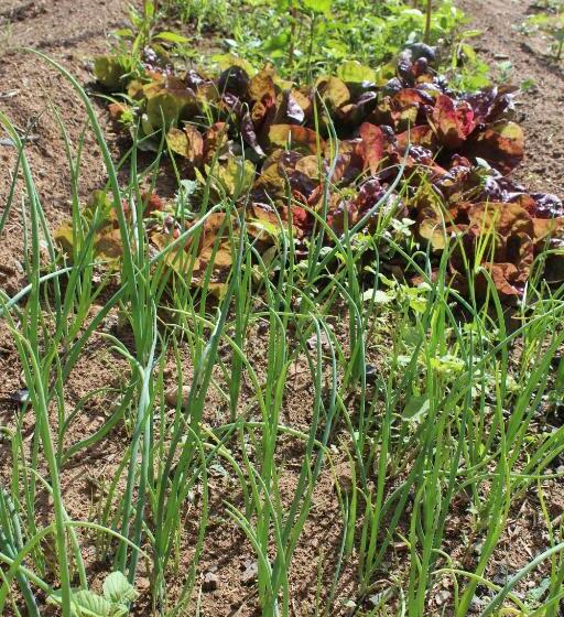 פנסיון Hostal Rural Fidel Garcia Guzman