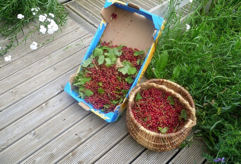 פנסיון La Freneraie