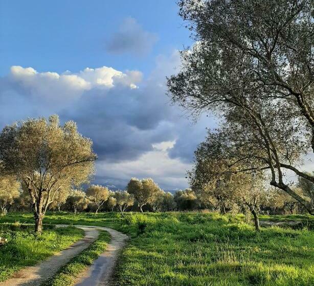 פנסיון Tenuta Le Tre Querce