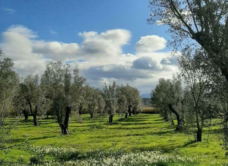 פנסיון Tenuta Le Tre Querce