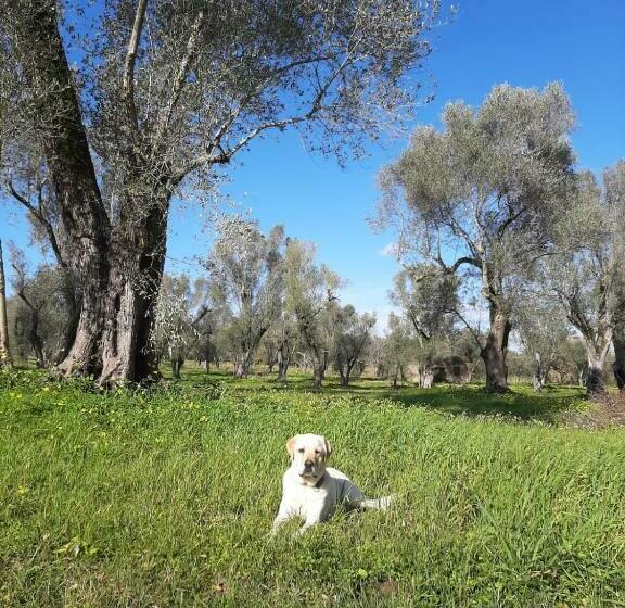 פנסיון Tenuta Le Tre Querce