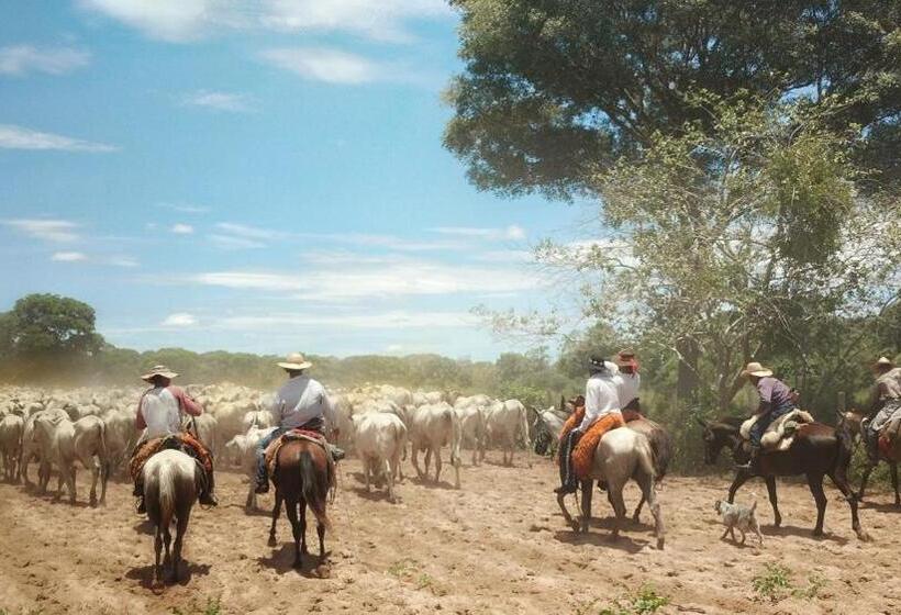 膳宿费 Pousada Fazenda Xaraés