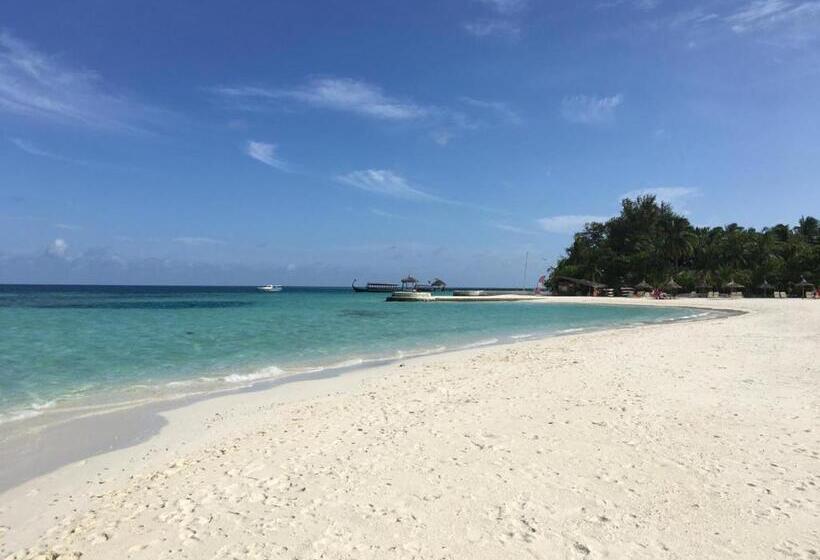 膳宿费 Room In Guest Room Private Room In Boca Chica Resort Condominium