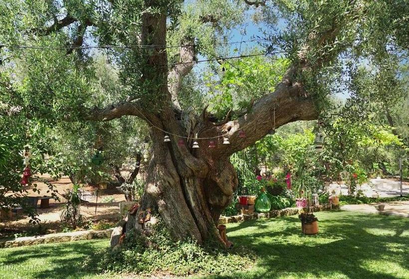 פנסיון Sweet Home Suite