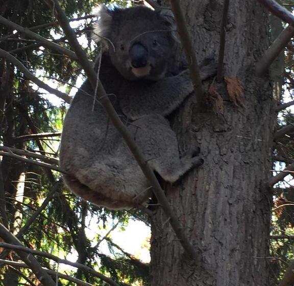 Sherwood Park Bed And Breakfast