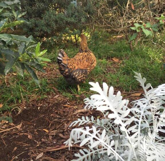 Sherwood Park Bed And Breakfast