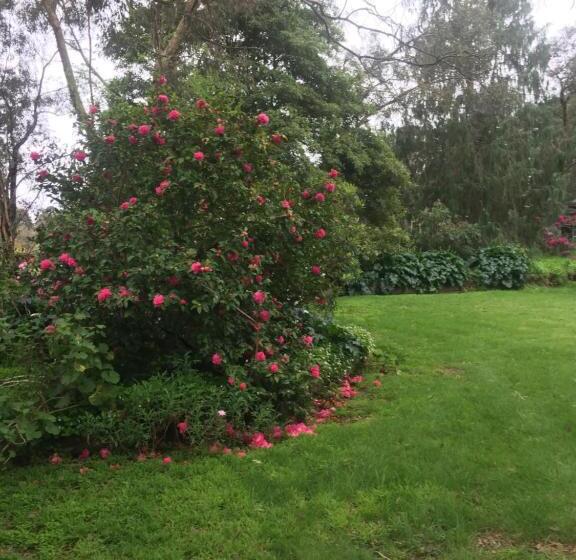 Sherwood Park Bed And Breakfast