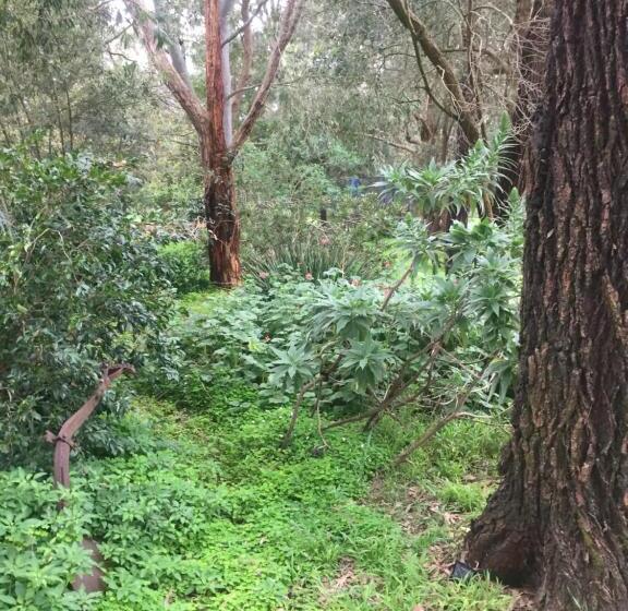 Sherwood Park Bed And Breakfast