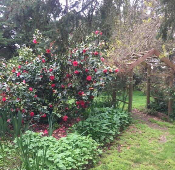 Sherwood Park Bed And Breakfast