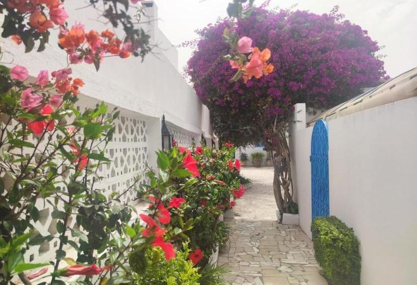 تختخواب و صبحانه Villa Sidi Bou Said