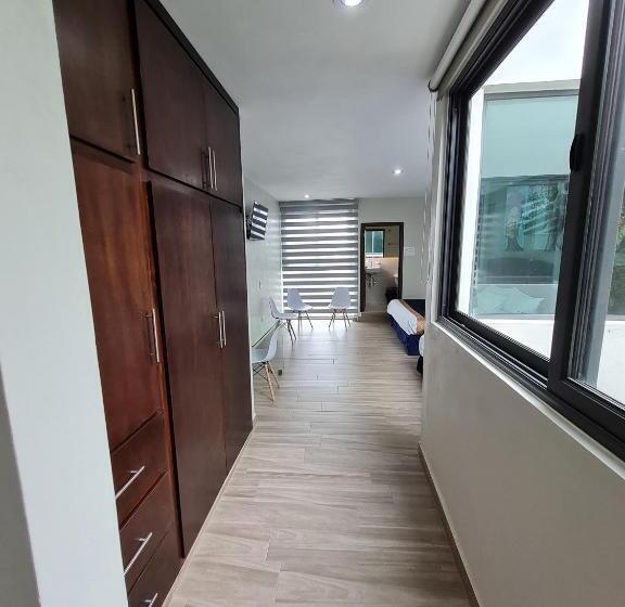 Casa Arandas Hotel   Suits