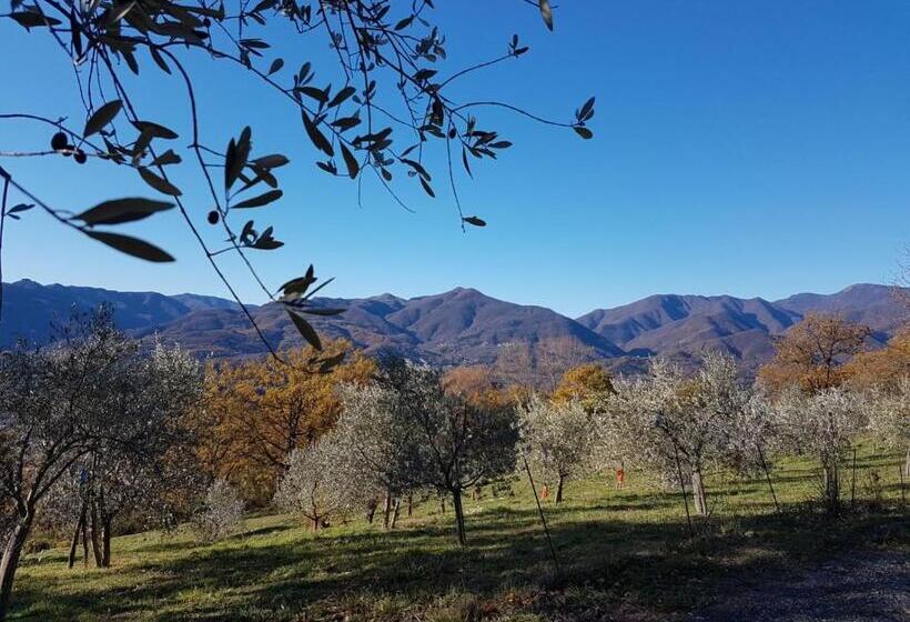 酒店 Agriturismo La Vecchia Cascina