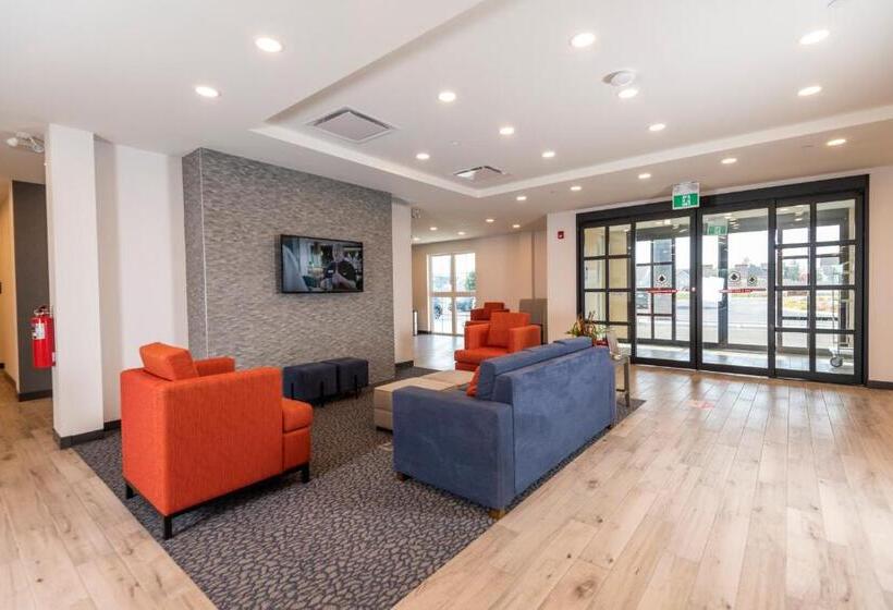 فندق Comfort Inn & Suites