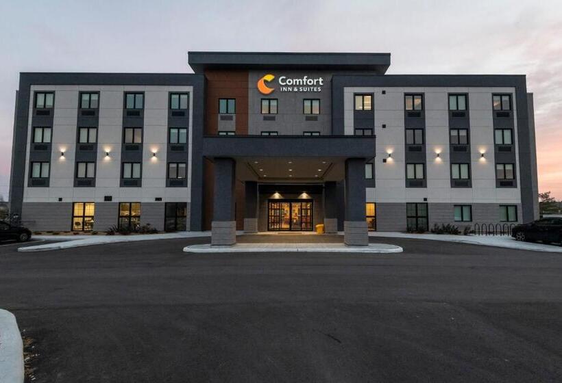 فندق Comfort Inn & Suites