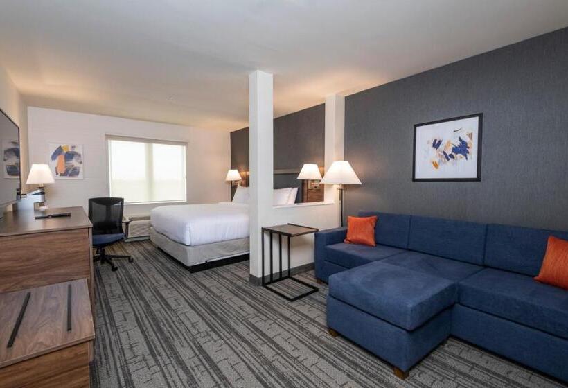 فندق Comfort Inn & Suites