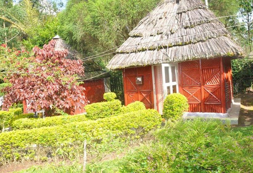 Hotel Jt Cottages Ntungamo