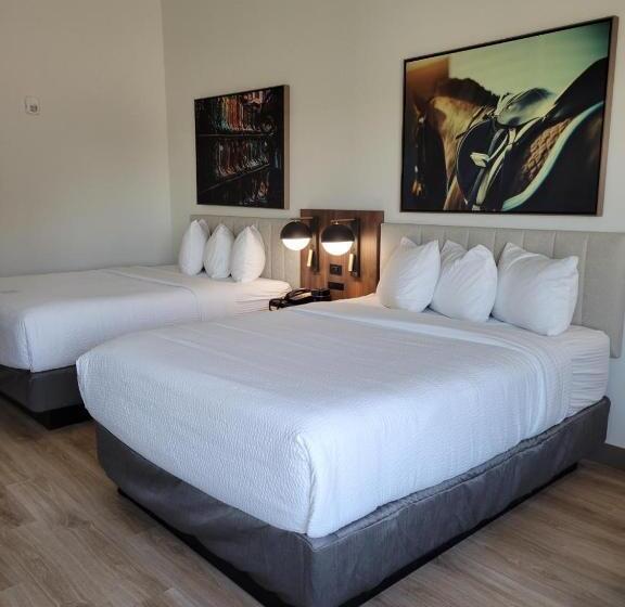 Отель La Quinta Inn & Suites By Wyndham Terrell