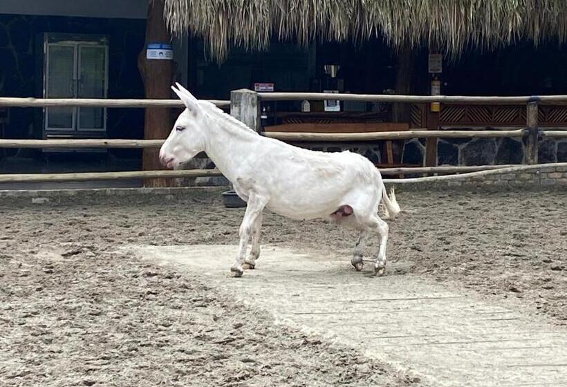 호텔 Rancho Ecoturistico El Faro