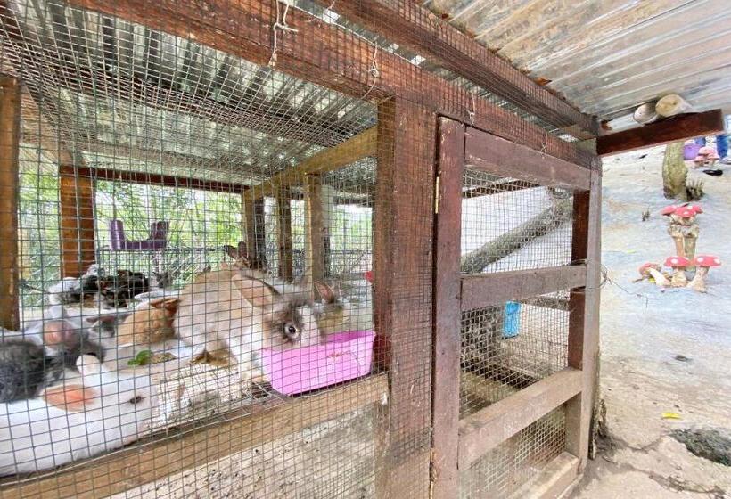 בית מלון כפרי Spot On 90279 Kinomulok Garden