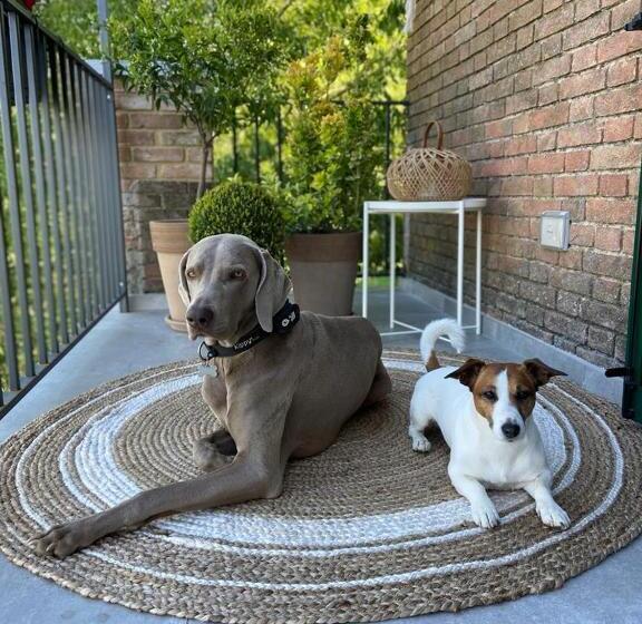 Отель Tenuta Pizzone