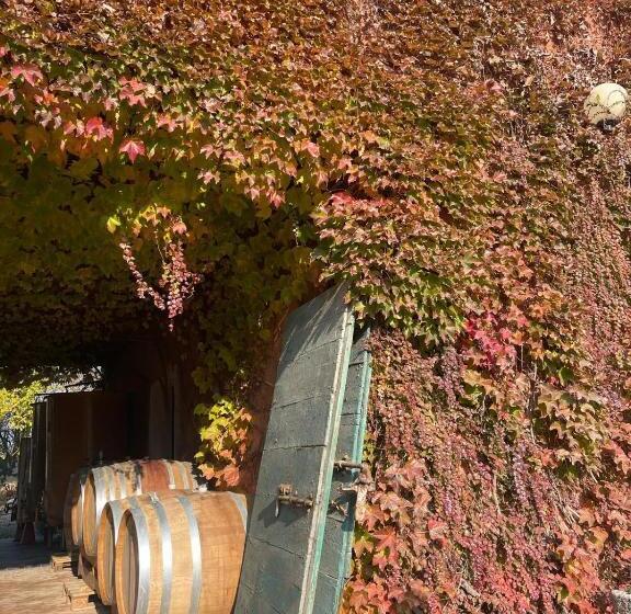 فندق Tenuta Pizzone