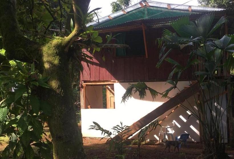 فندق Jungle Drake