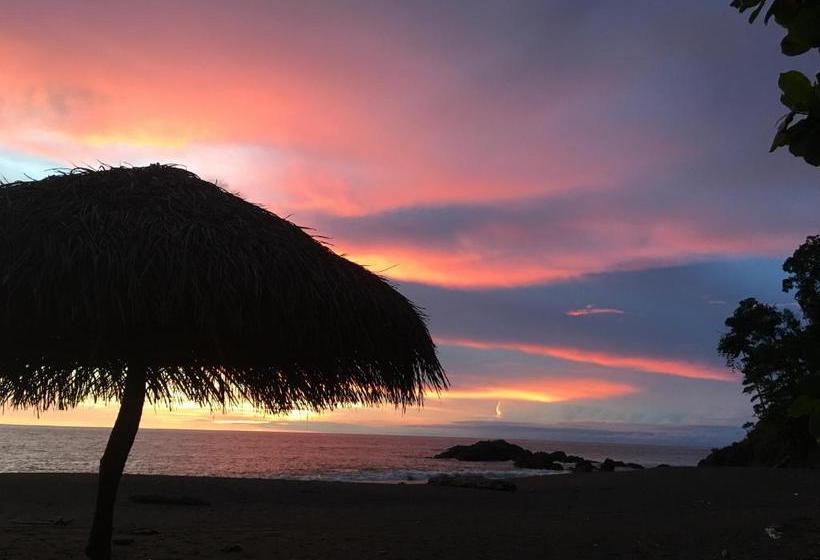 فندق Jungle Drake