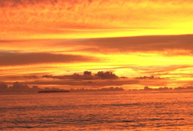 فندق Jungle Drake