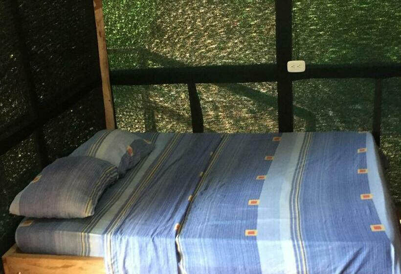 فندق Jungle Drake