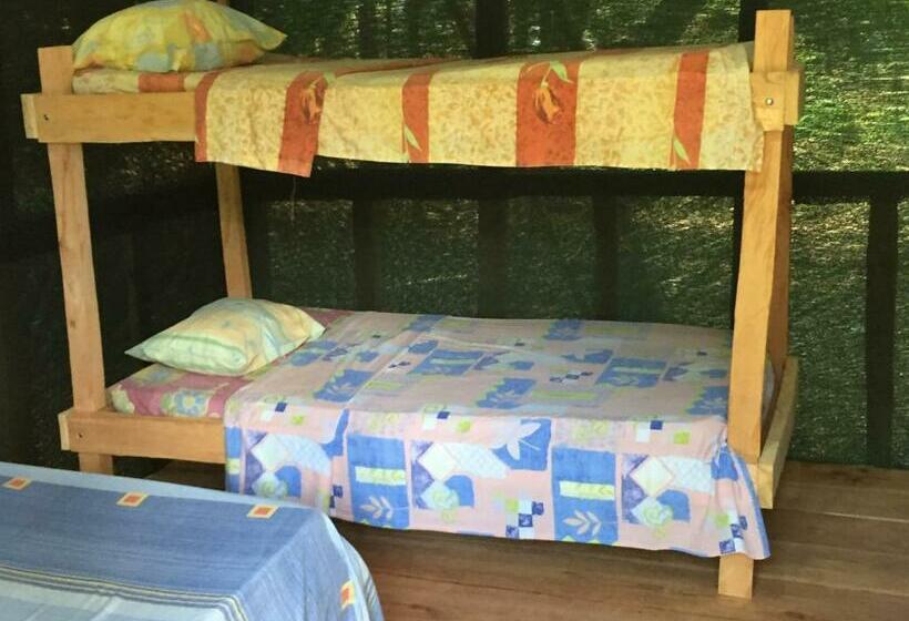 فندق Jungle Drake