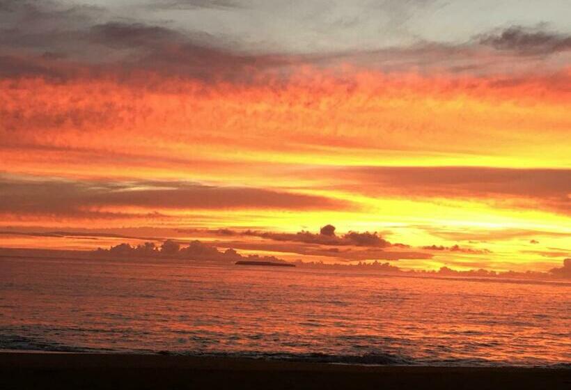 فندق Jungle Drake