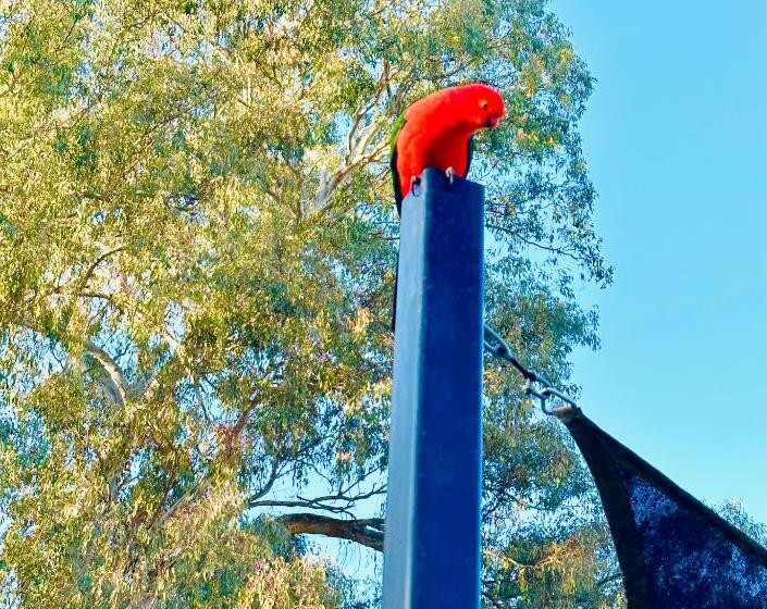 モーテル Auto Lodge Motor Inn