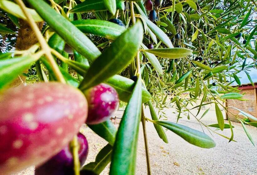 모텔 Auto Lodge Motor Inn