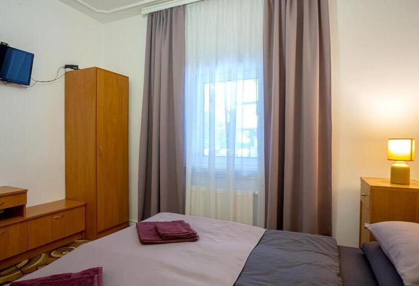 پانسیون анасоль