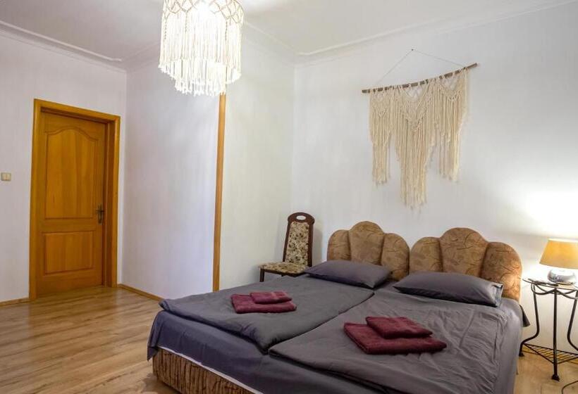 پانسیون анасоль