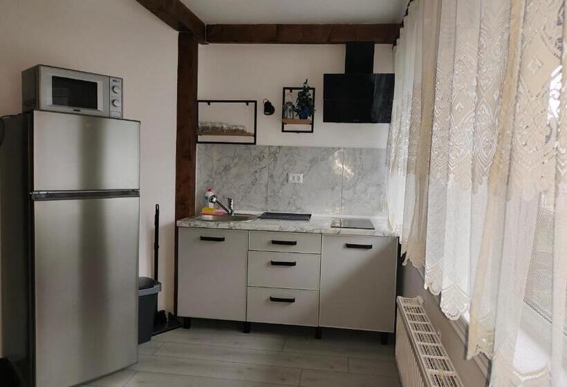 پانسیون анасоль