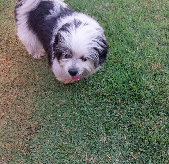 ペンション Pousada Canto Dos Passaros