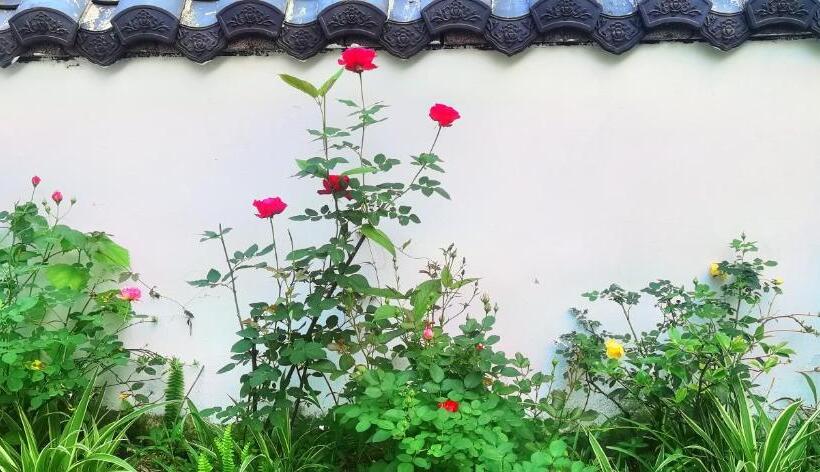 بنسيون Tujia Folk Houses