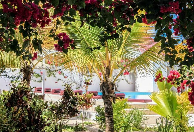 リゾートホテル Paje White House