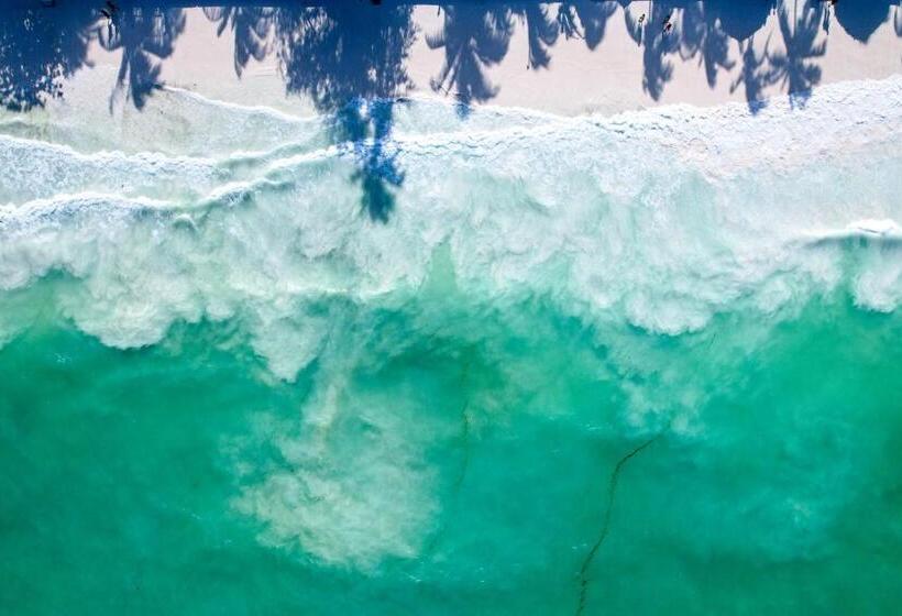 リゾートホテル Paje White House