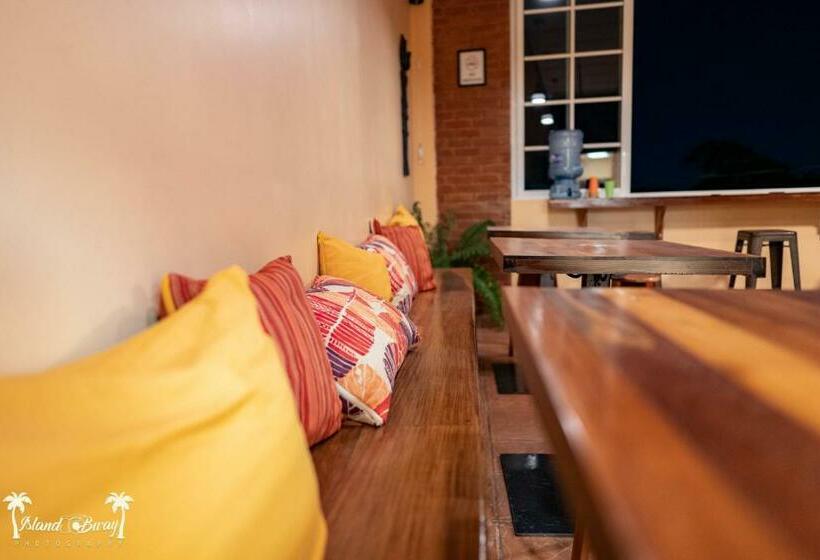 הוסטל Yellow Belly Backpackers