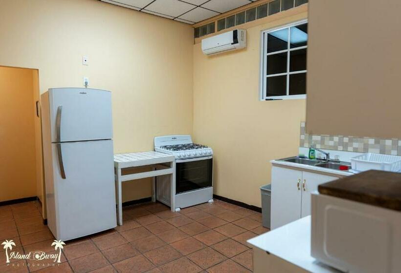 הוסטל Yellow Belly Backpackers