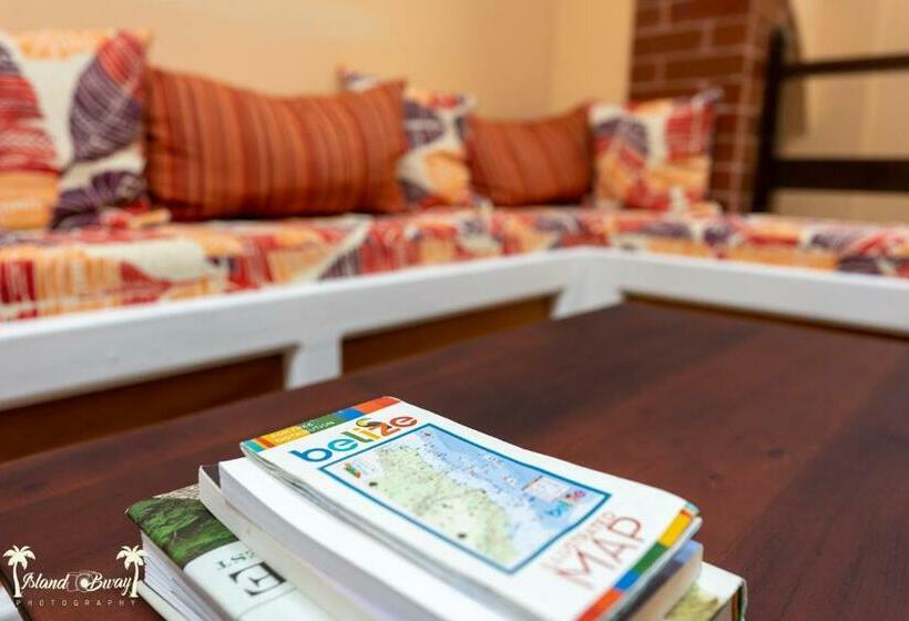 הוסטל Yellow Belly Backpackers