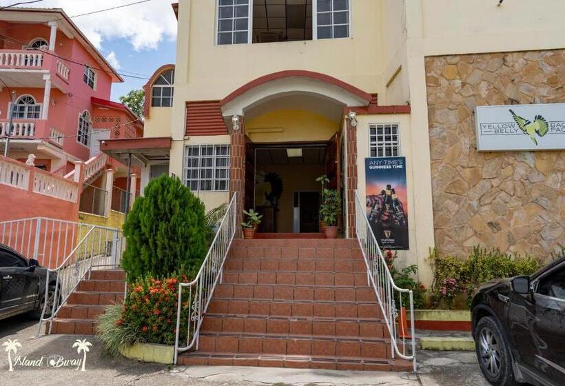 הוסטל Yellow Belly Backpackers