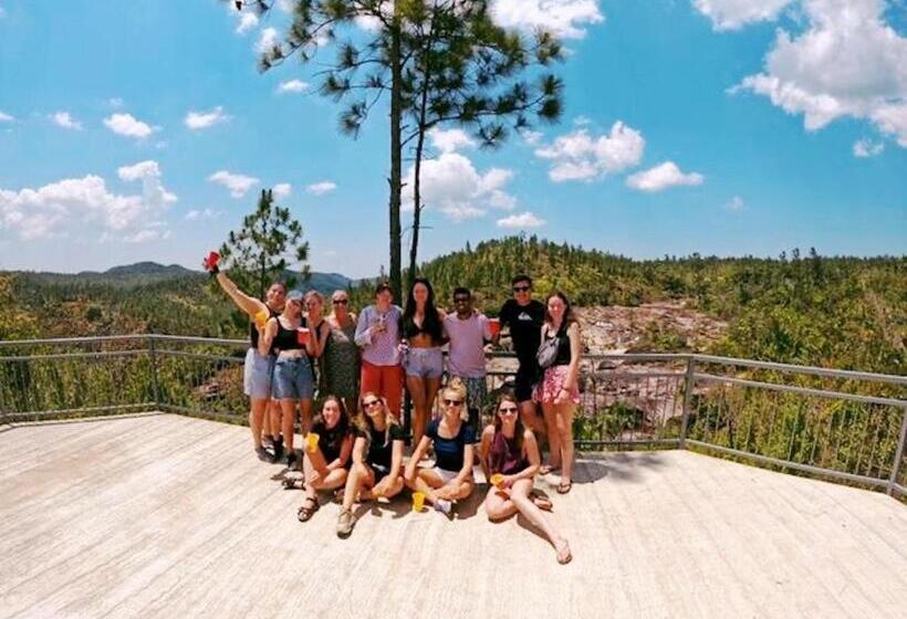 הוסטל Yellow Belly Backpackers