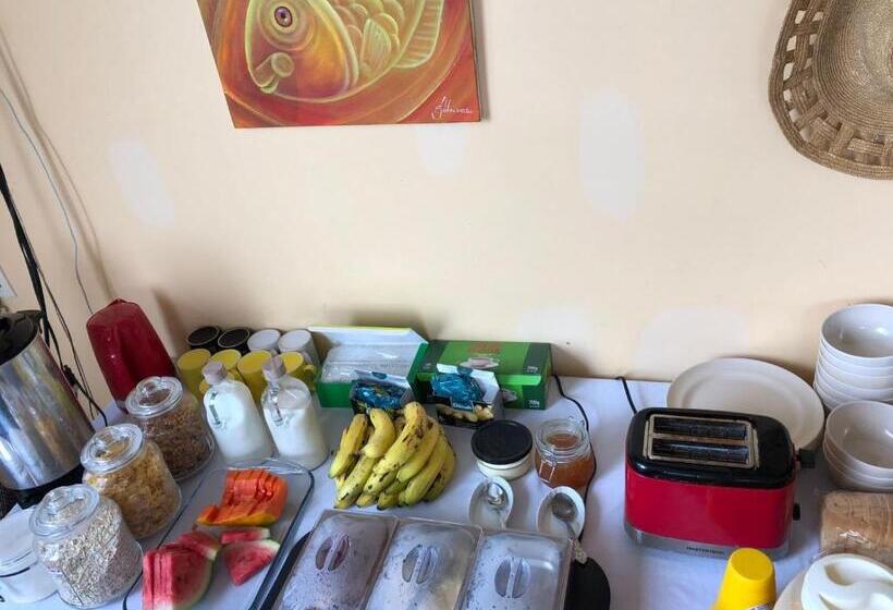 הוסטל Yellow Belly Backpackers