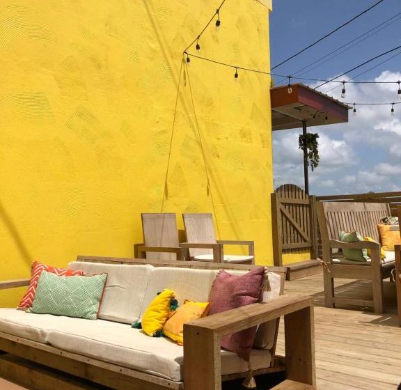 הוסטל Yellow Belly Backpackers