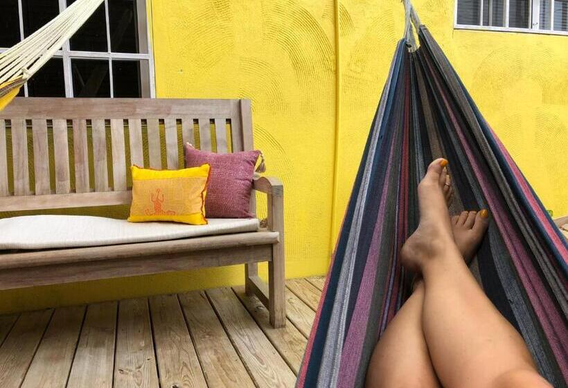 הוסטל Yellow Belly Backpackers