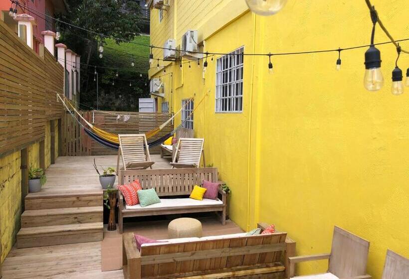 הוסטל Yellow Belly Backpackers